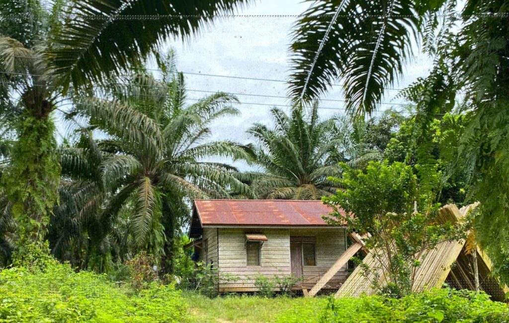 Sudah tiga dekade Marwati, perempuan adat Paser yang tinggal di RT012, Desa Rangan, Kecamatan Kuaro, Kabupaten Paser, Kalimantan Timur (Kaltim) gelap-gelapan meski tinggal di provinsi dengan lumbung energi nasional. Penetapan Ibu Kota Negara Nusantara (IKN) yang bersebelahan dengan kabupaten tempat tinggalnya tak mengubah nasibnya.